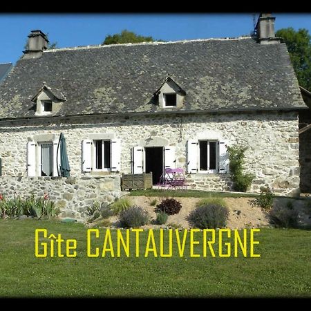 Вилла Gite Cantauvergne Vebret Экстерьер фото
