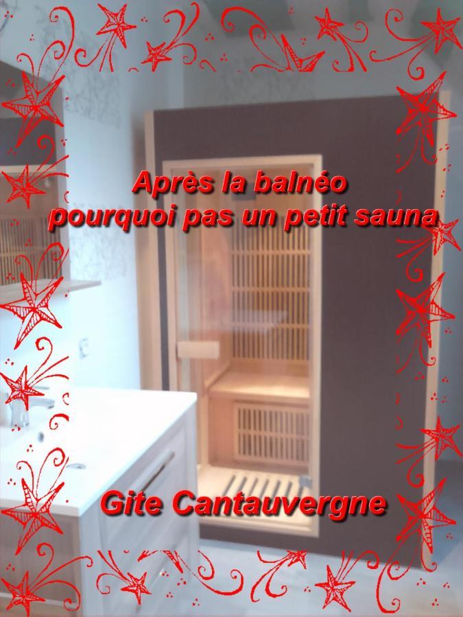 Вилла Gite Cantauvergne Vebret Экстерьер фото