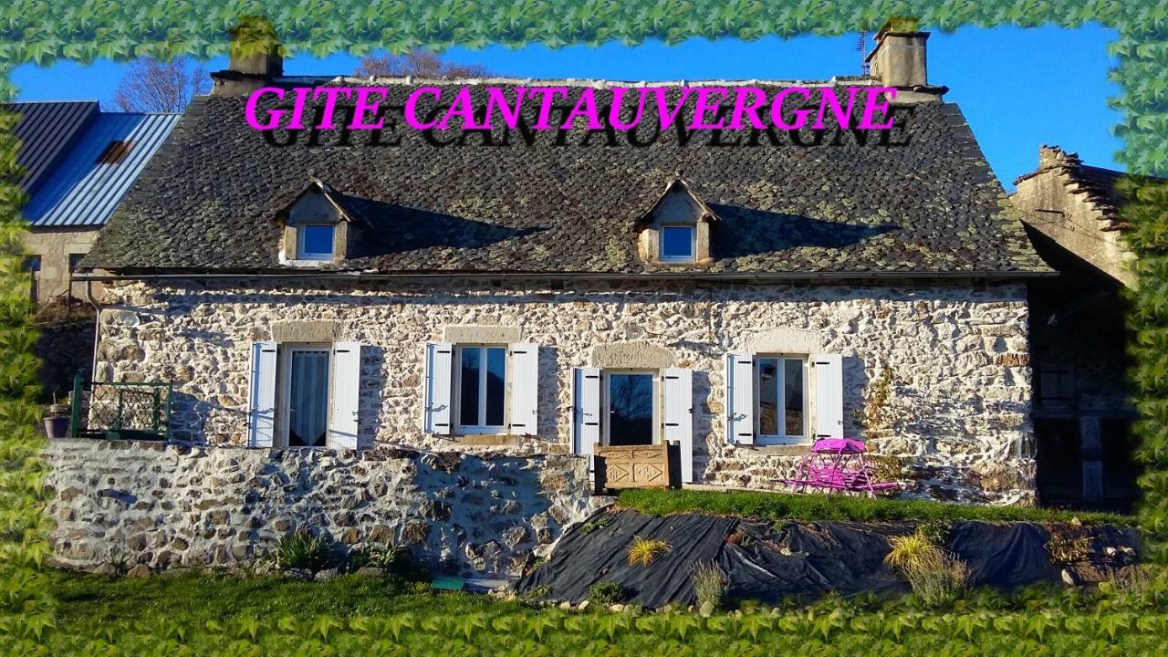 Вилла Gite Cantauvergne Vebret Экстерьер фото