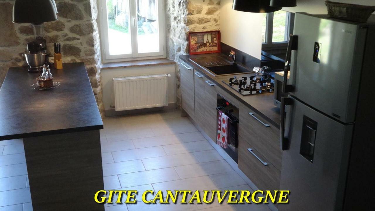 Вилла Gite Cantauvergne Vebret Экстерьер фото