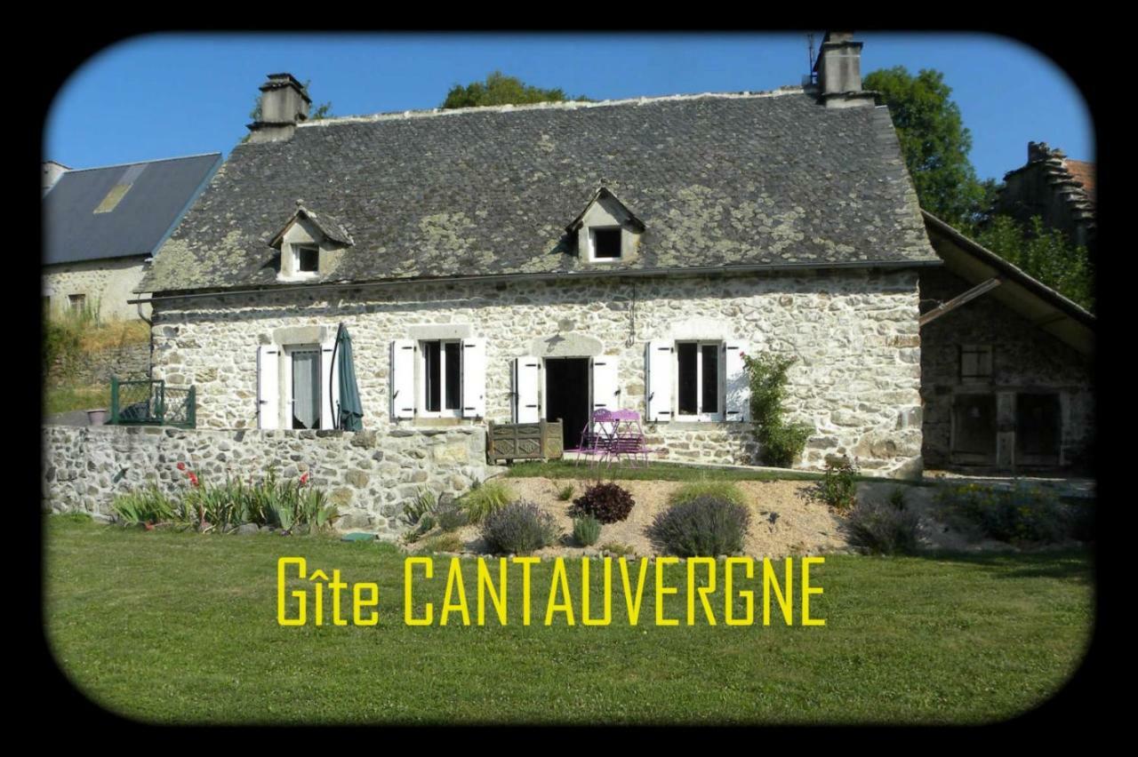 Вилла Gite Cantauvergne Vebret Экстерьер фото